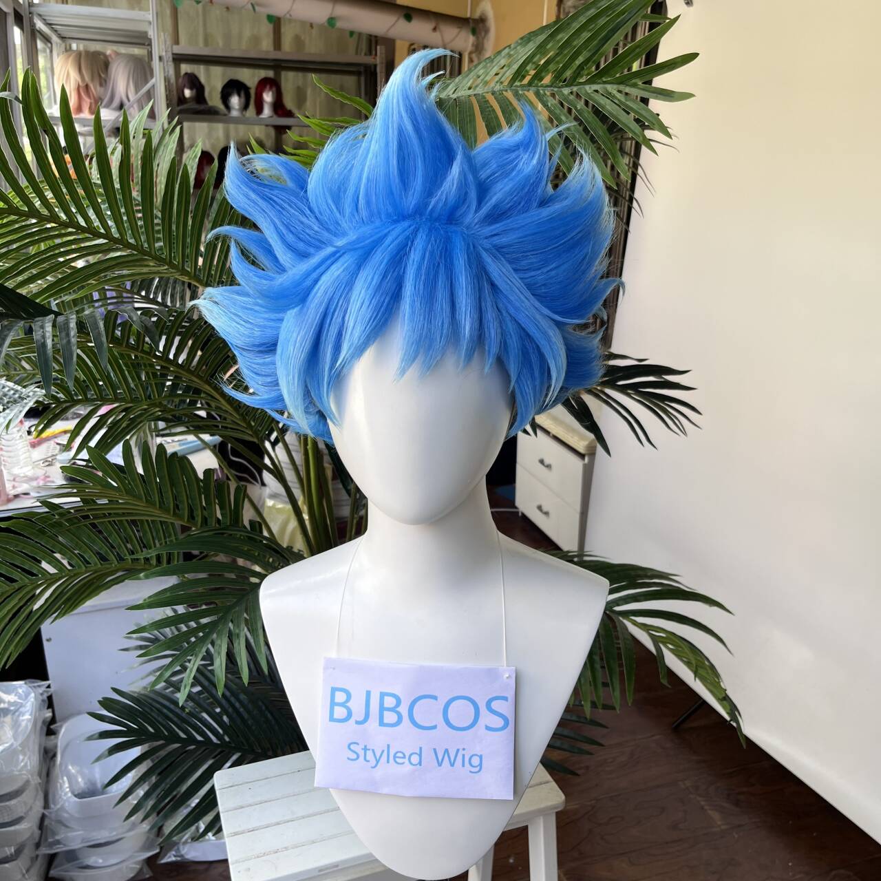 [Styled Wig]Ortho Cosplay Wig  - огляд і ціна Men Accessories Korea